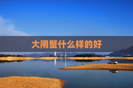 大闸蟹什么样的好