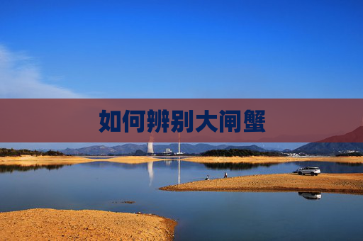 如何辨别大闸蟹
