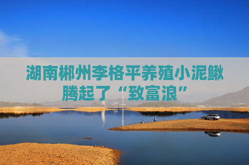 湖南郴州李格平养殖小泥鳅腾起了“致富浪”
