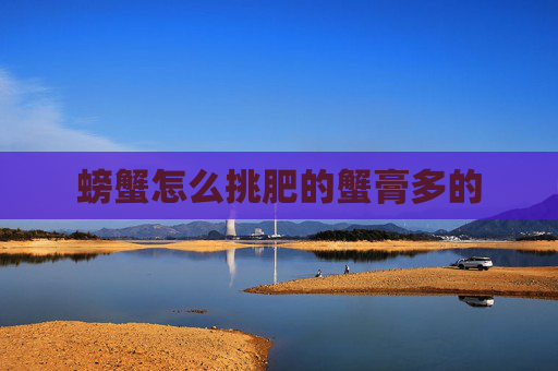 螃蟹怎么挑肥的蟹膏多的