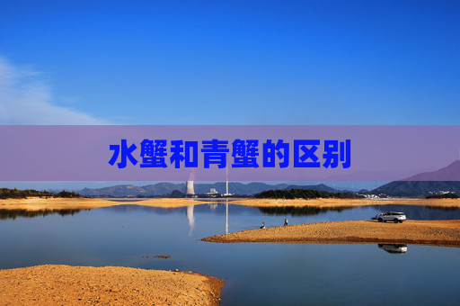 水蟹和青蟹的区别