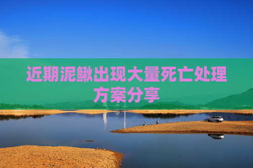 近期泥鳅出现大量死亡处理方案分享
