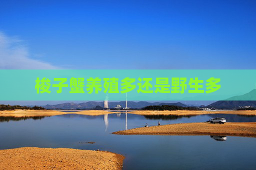 梭子蟹养殖多还是野生多
