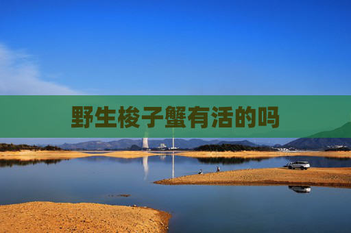 野生梭子蟹有活的吗