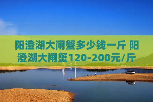 阳澄湖大闸蟹多少钱一斤 阳澄湖大闸蟹120-200元/斤