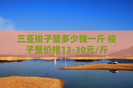 三亚梭子蟹多少钱一斤 梭子蟹价格13-30元/斤