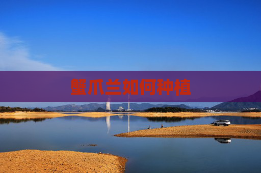 蟹爪兰如何种植