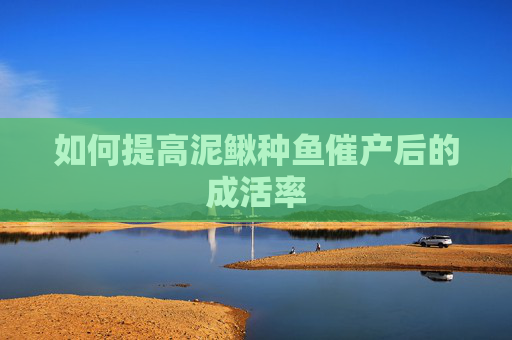 如何提高泥鳅种鱼催产后的成活率