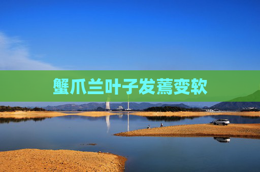 蟹爪兰叶子发蔫变软