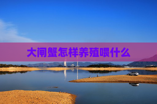 大闸蟹怎样养殖喂什么