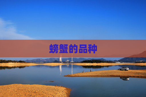 螃蟹的品种