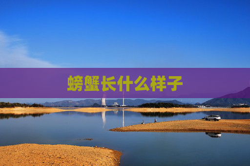 螃蟹长什么样子