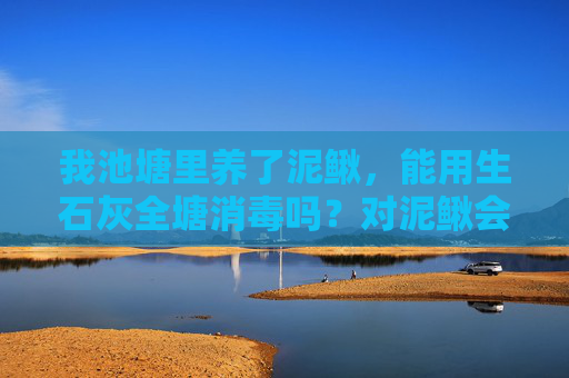 我池塘里养了泥鳅,能用生石灰全塘消毒吗?对泥鳅会不会造成伤害? 我池塘里养了泥鳅,能用生石灰全塘消毒吗?对泥鳅会不会造成伤害?
