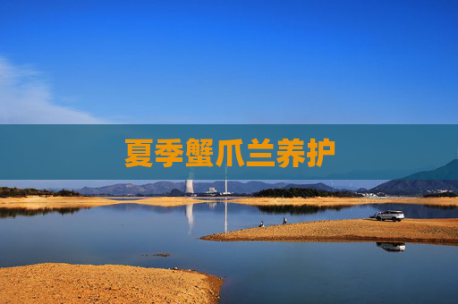 夏季蟹爪兰养护