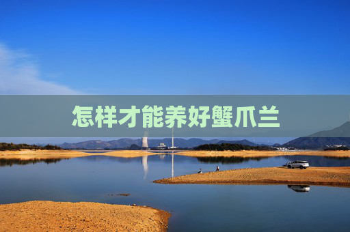 怎样才能养好蟹爪兰