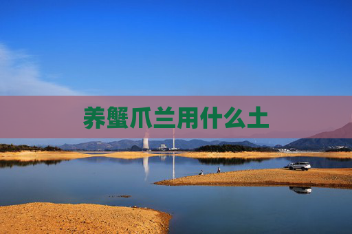 养蟹爪兰用什么土