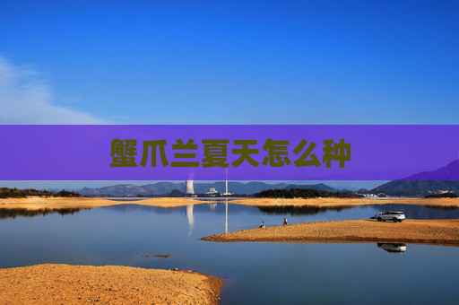 蟹爪兰夏天怎么种