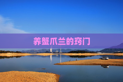 养蟹爪兰的窍门