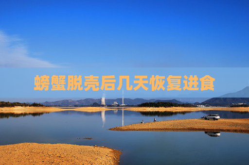 螃蟹脱壳后几天恢复进食