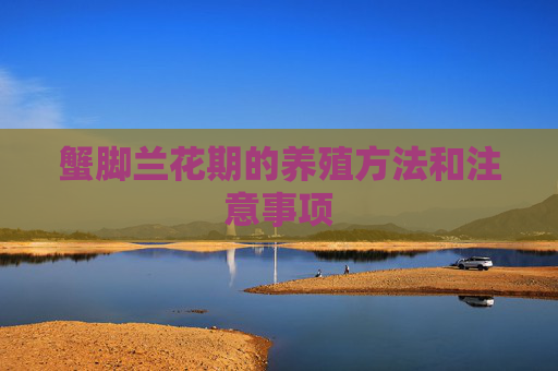 蟹脚兰花期的养殖方法和注意事项