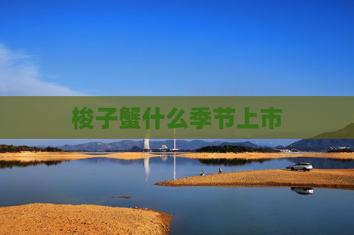 梭子蟹什么季节上市