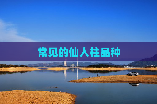 常见的仙人柱品种