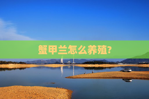 蟹甲兰怎么养殖?