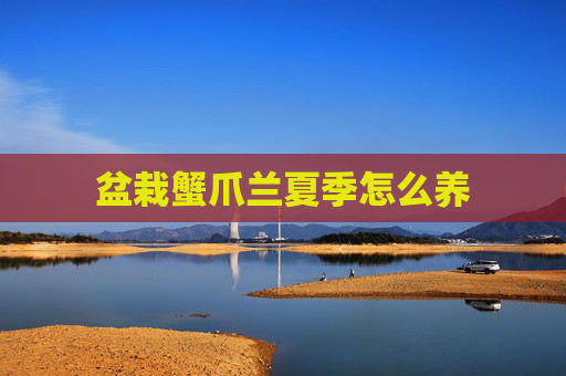 盆栽蟹爪兰夏季怎么养