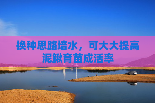 换种思路培水，可大大提高泥鳅育苗成活率
