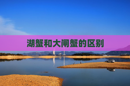 湖蟹和大闸蟹的区别