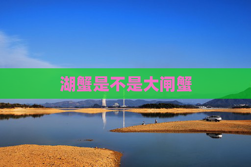 湖蟹是不是大闸蟹