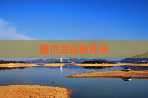 蟹爪兰剪枝方法