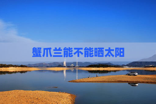 蟹爪兰能不能晒太阳