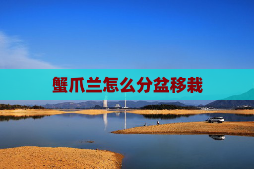 蟹爪兰怎么分盆移栽