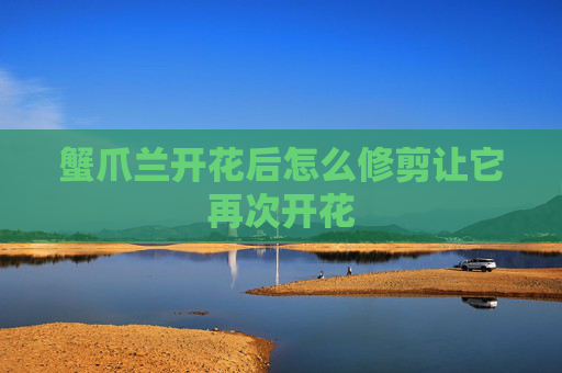 蟹爪兰开花后怎么修剪让它再次开花