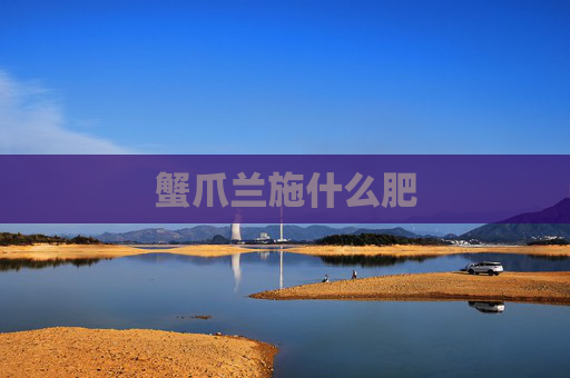 蟹爪兰施什么肥