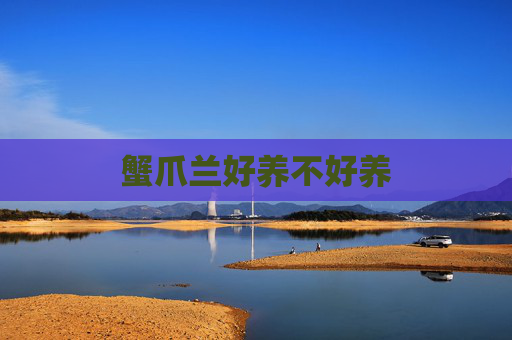 蟹爪兰好养不好养
