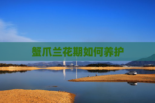 蟹爪兰花期如何养护