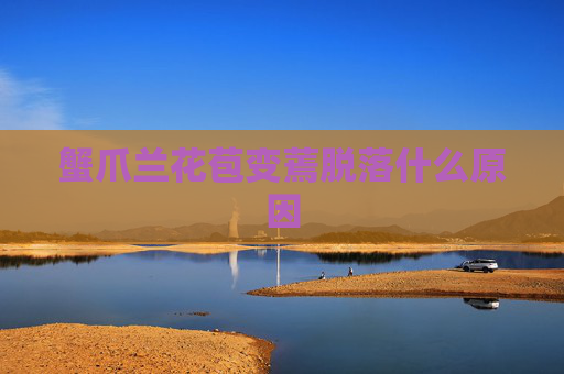 蟹爪兰花苞变蔫脱落什么原因