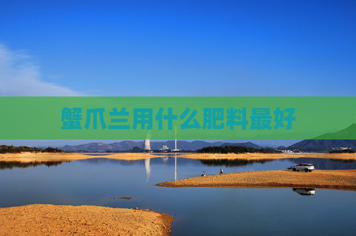蟹爪兰用什么肥料最好