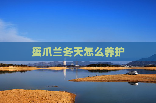 蟹爪兰冬天怎么养护