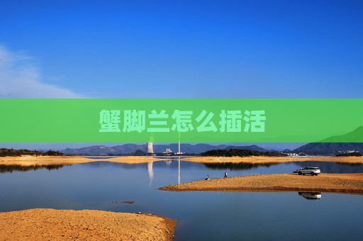 蟹脚兰怎么插活