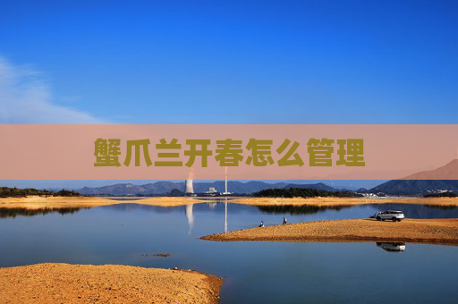 蟹爪兰开春怎么管理