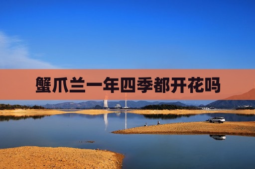 蟹爪兰一年四季都开花吗