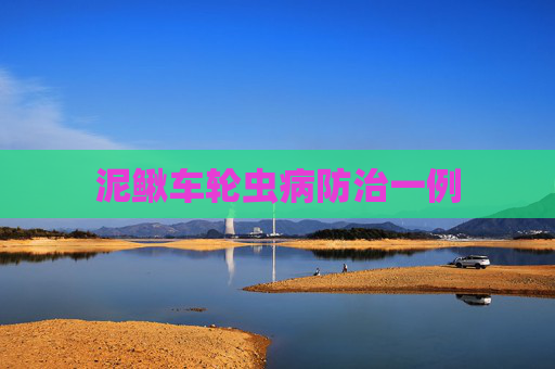 泥鳅车轮虫病防治一例
