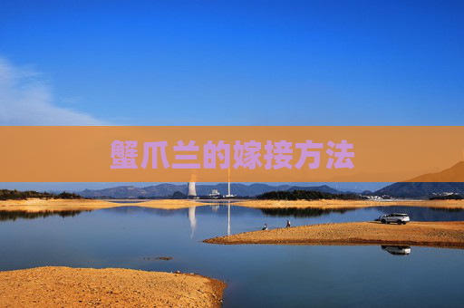 蟹爪兰的嫁接方法