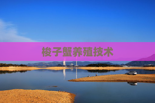 梭子蟹养殖技术