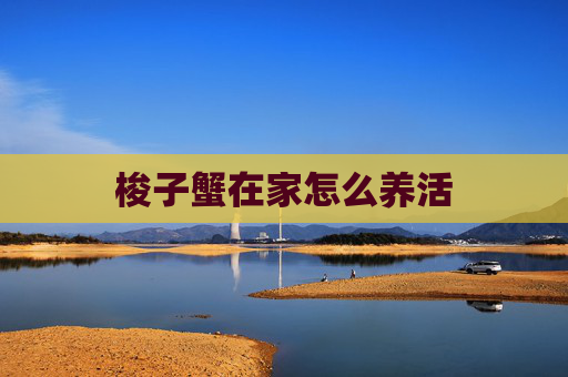 梭子蟹在家怎么养活