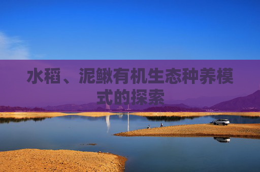 水稻、泥鳅有机生态种养模式的探索