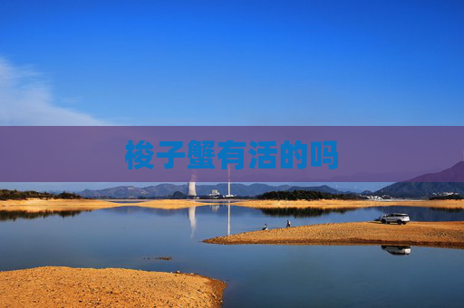梭子蟹有活的吗